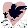 Crow chick