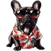 French Buldog Dog Summer