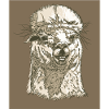 "ALPAKA // PURE" Face