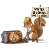 Cool Squirrel