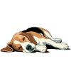 Life's Better With Beagles