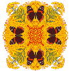 Red Admiral Butterfly Mandala