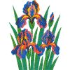 Retro Iris Floral Bloom