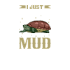 I love my turtle