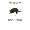 I love my snapping turtle