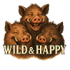 Sanglier - Wild & Happy