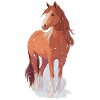 Pferd mit Schneeflocken