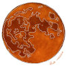 THE ORANGE MOON