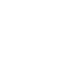 Anstalts Leitung