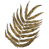 Elegant Golden Plant Illustration