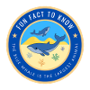 The blue whale is the largest animal