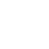 Surveyor Psychotic Surveyor