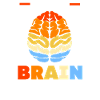 Aneurysm Brain