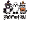 Spooky Raccoon Shirt – Sweet & Wild