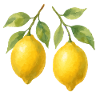 lemons