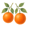 orangen