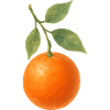 orange