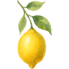 lemon