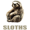 Sloths Sloth