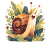 Snails Snail
