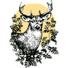 Hirsch