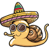 Snail Funny Sombrero