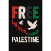 Paix pour la Palestine Conception éco-consciente