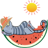 Chat au melon au soleil