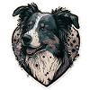 Border Collie Chien