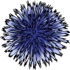 Blue Thistle Flower