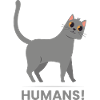 oh mon chat