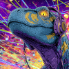 Raptor Rave