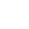 rose blanche