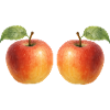 Apple 2