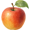 apple