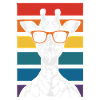 Giraffe with sunglasses sunset