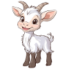 Chèvre