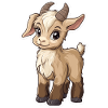Goat