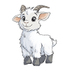 Goat
