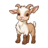 Chèvre