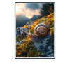 Snails Snail