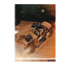 Frog in Retro Vehicle