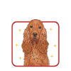 Cocker Spaniel Hunde Cockerspaniel Geschenke