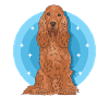 Cocker Spaniel Cockerspaniel Hunde Geschenk