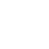 Governor