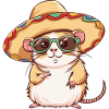 Hamster Funny Sombrero