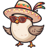 Colombe oiseau drôle sombrero