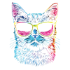 Cats with sunglasses