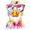 Rainbow Duck with Sunglasses