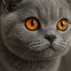 Detailed cat eye design